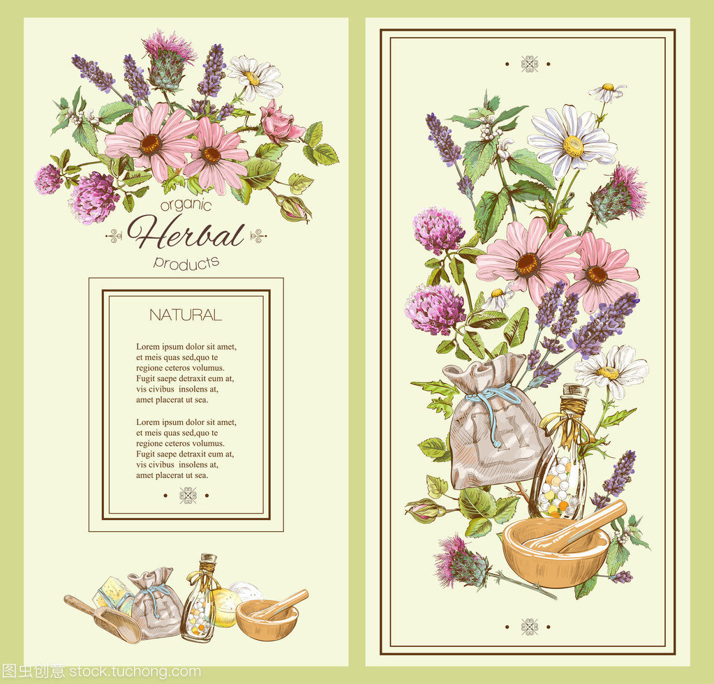 草藥的老式橫幅 奇石